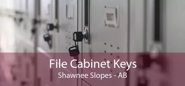 File Cabinet Keys Shawnee Slopes - AB