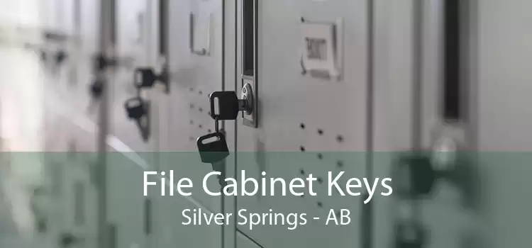 File Cabinet Keys Silver Springs - AB