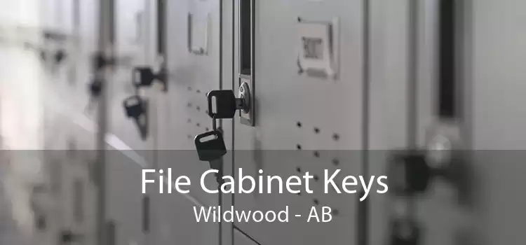 File Cabinet Keys Wildwood - AB