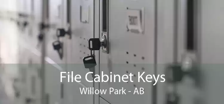 File Cabinet Keys Willow Park - AB