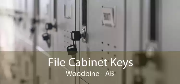 File Cabinet Keys Woodbine - AB