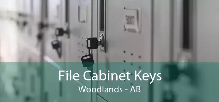 File Cabinet Keys Woodlands - AB