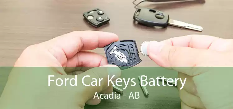 Ford Car Keys Battery Acadia - AB