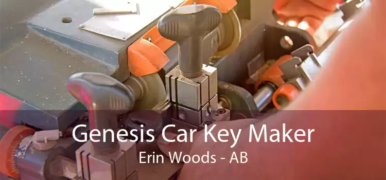 Genesis Car Key Maker Erin Woods - AB