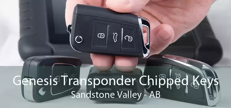 Genesis Transponder Chipped Keys Sandstone Valley - AB
