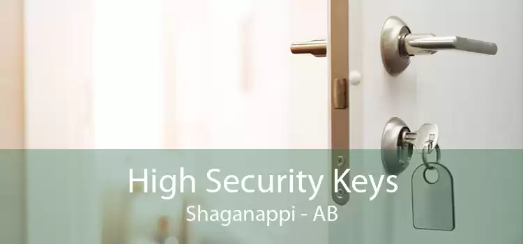 High Security Keys Shaganappi - AB