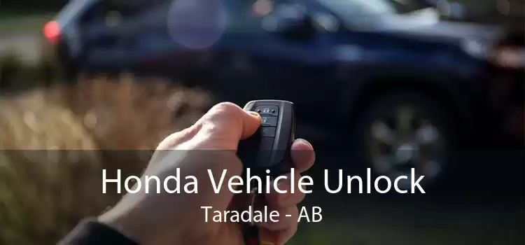 Honda Vehicle Unlock Taradale - AB