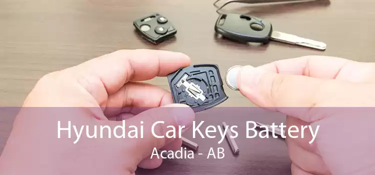 Hyundai Car Keys Battery Acadia - AB