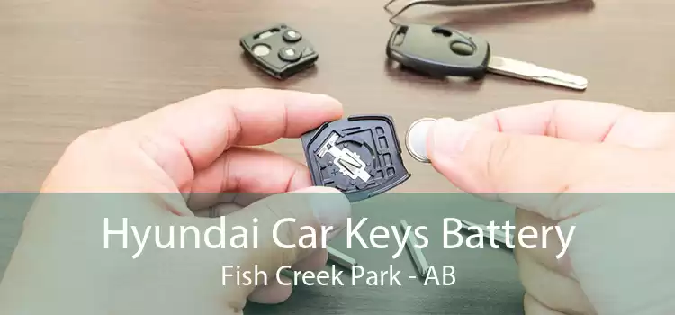 Hyundai Car Keys Battery Fish Creek Park - AB