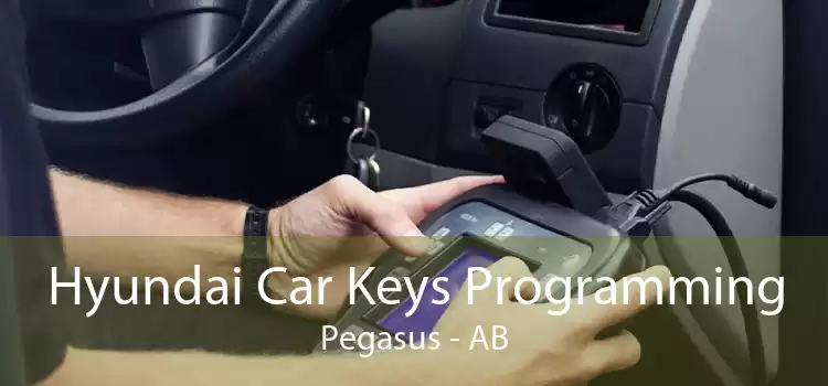 Hyundai Car Keys Programming Pegasus - AB