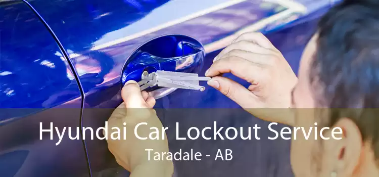 Hyundai Car Lockout Service Taradale - AB