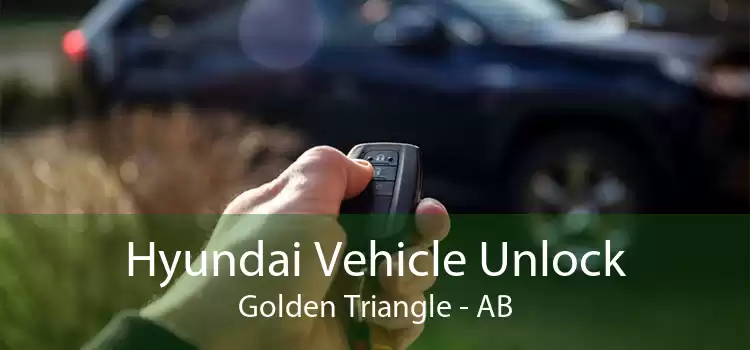 Hyundai Vehicle Unlock Golden Triangle - AB