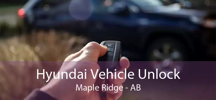 Hyundai Vehicle Unlock Maple Ridge - AB