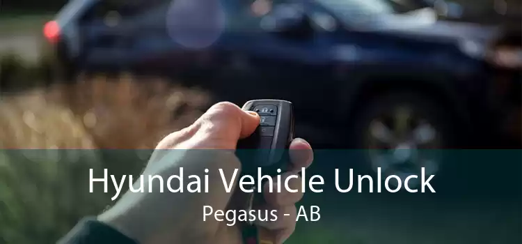Hyundai Vehicle Unlock Pegasus - AB