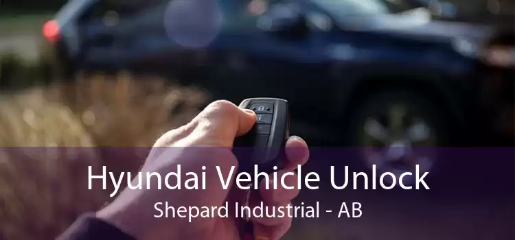 Hyundai Vehicle Unlock Shepard Industrial - AB