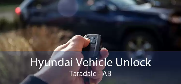 Hyundai Vehicle Unlock Taradale - AB