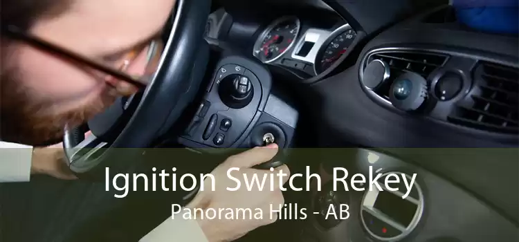 Ignition Switch Rekey Panorama Hills - AB