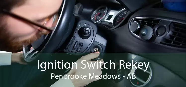 Ignition Switch Rekey Penbrooke Meadows - AB