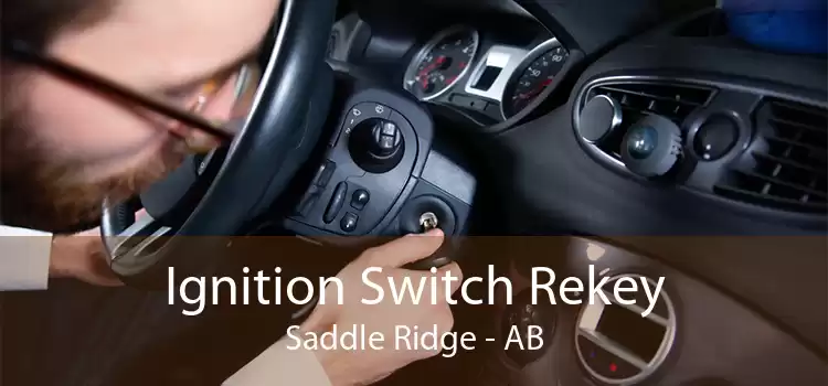 Ignition Switch Rekey Saddle Ridge - AB