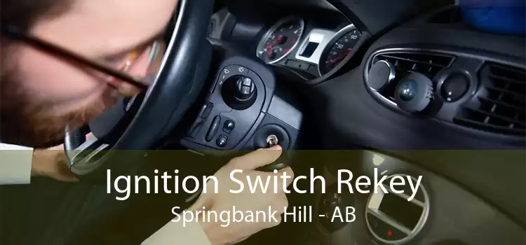 Ignition Switch Rekey Springbank Hill - AB