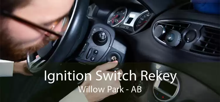 Ignition Switch Rekey Willow Park - AB