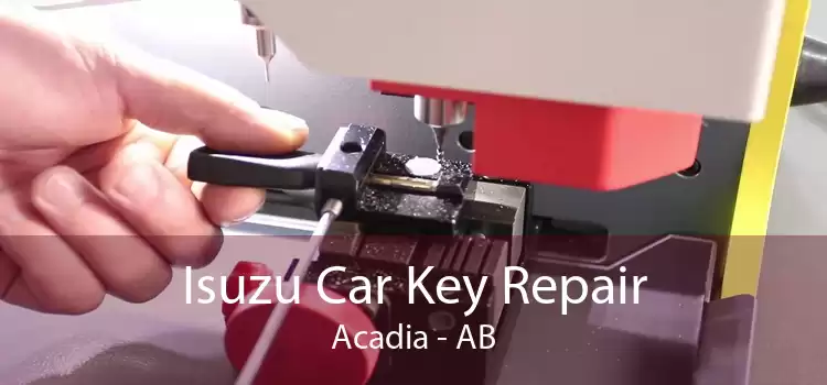 Isuzu Car Key Repair Acadia - AB
