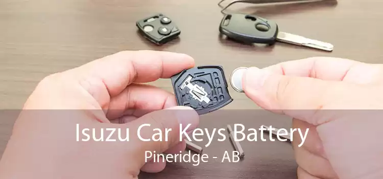 Isuzu Car Keys Battery Pineridge - AB