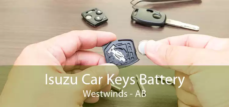 Isuzu Car Keys Battery Westwinds - AB