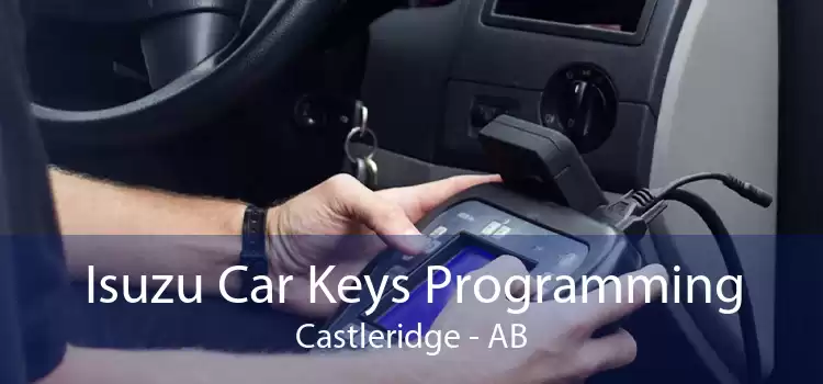 Isuzu Car Keys Programming Castleridge - AB