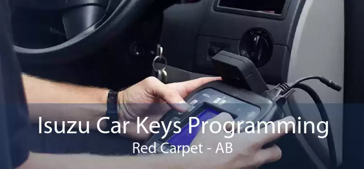 Isuzu Car Keys Programming Red Carpet - AB