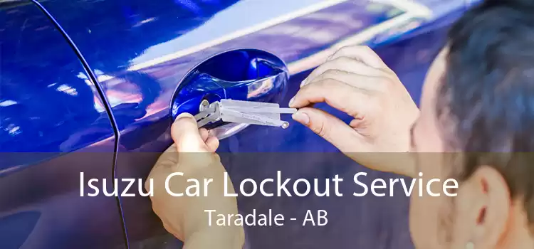Isuzu Car Lockout Service Taradale - AB