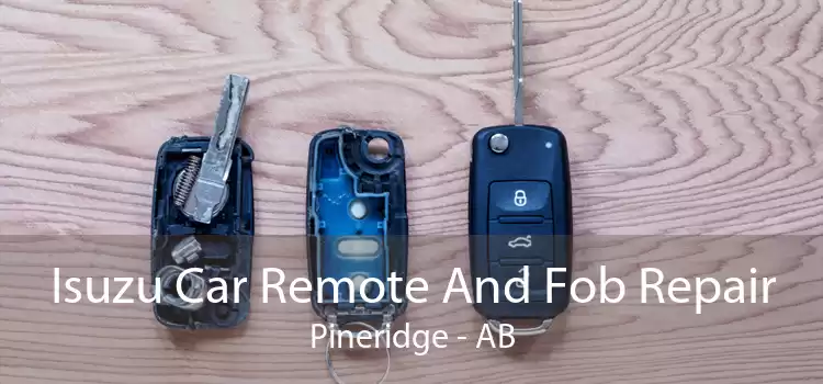 Isuzu Car Remote And Fob Repair Pineridge - AB