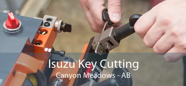 Isuzu Key Cutting Canyon Meadows - AB