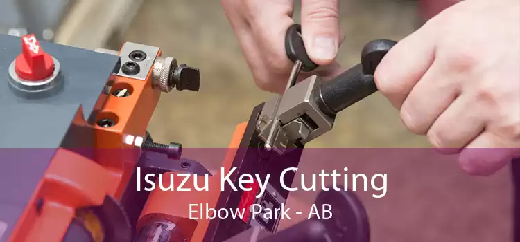 Isuzu Key Cutting Elbow Park - AB