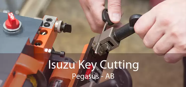 Isuzu Key Cutting Pegasus - AB