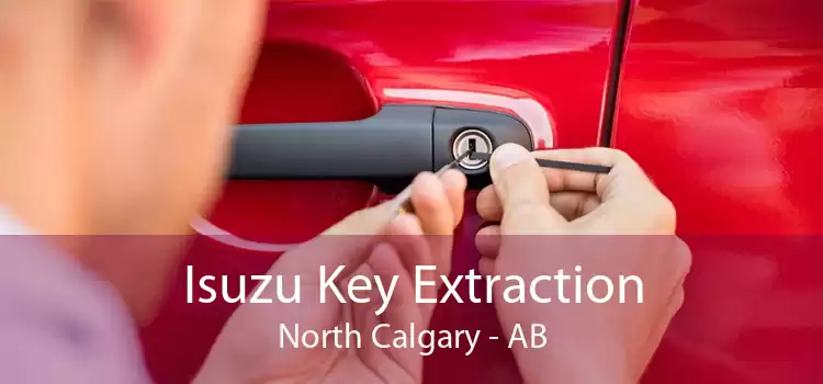 Isuzu Key Extraction North Calgary - AB
