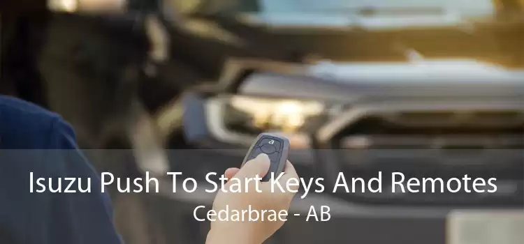 Isuzu Push To Start Keys And Remotes Cedarbrae - AB