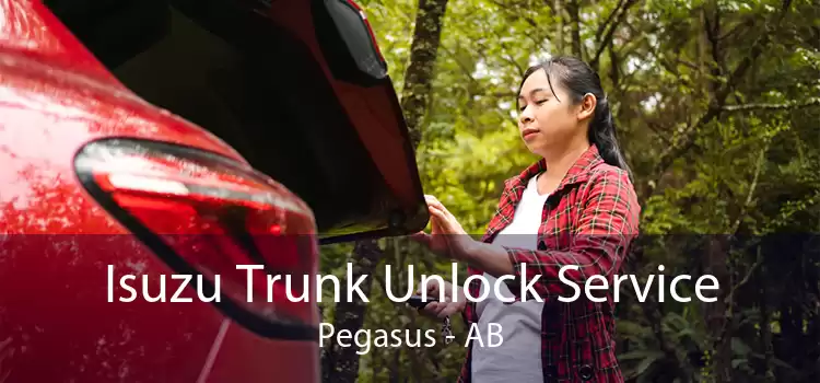 Isuzu Trunk Unlock Service Pegasus - AB