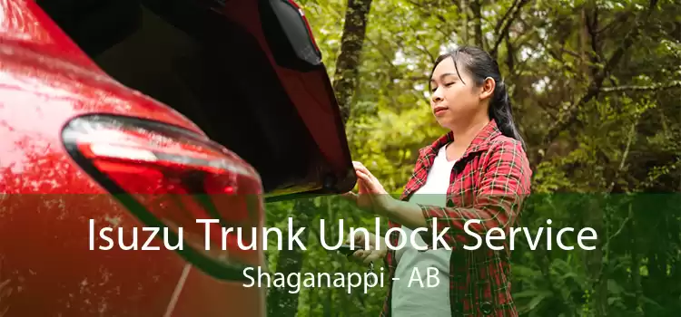 Isuzu Trunk Unlock Service Shaganappi - AB