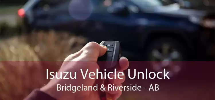 Isuzu Vehicle Unlock Bridgeland & Riverside - AB