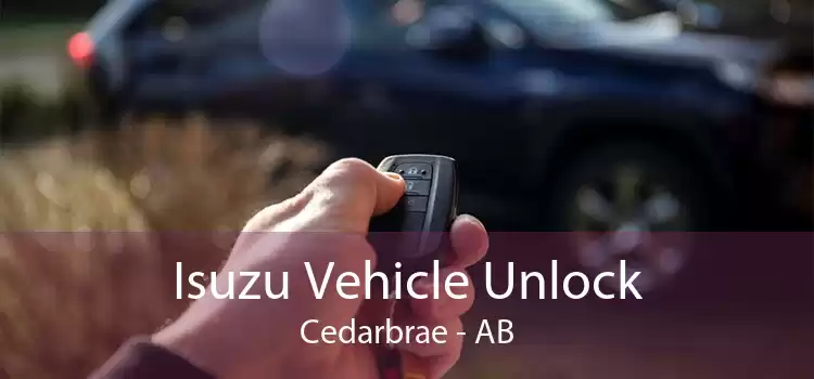 Isuzu Vehicle Unlock Cedarbrae - AB
