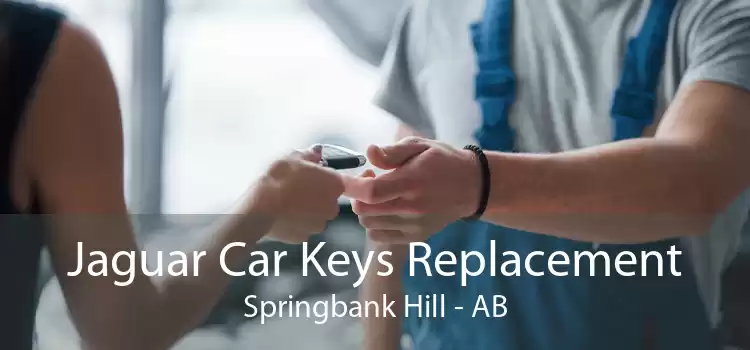 Jaguar Car Keys Replacement Springbank Hill - AB