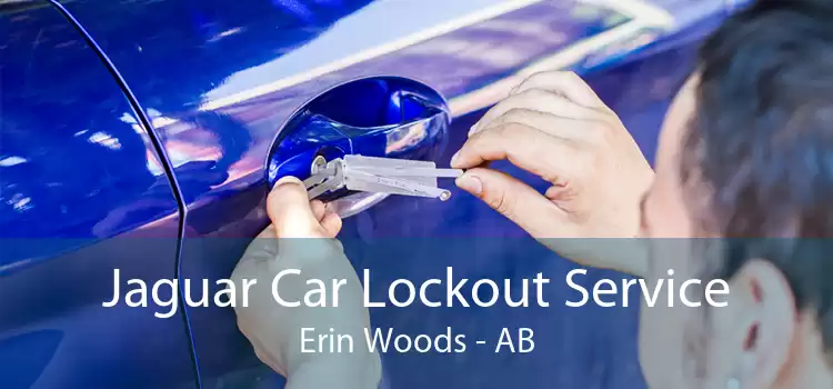 Jaguar Car Lockout Service Erin Woods - AB