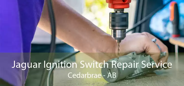 Jaguar Ignition Switch Repair Service Cedarbrae - AB
