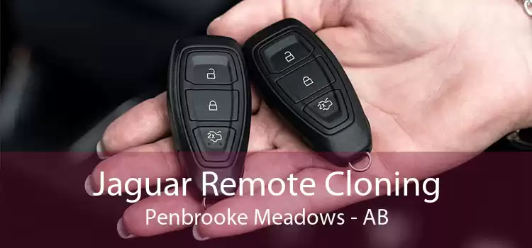 Jaguar Remote Cloning Penbrooke Meadows - AB