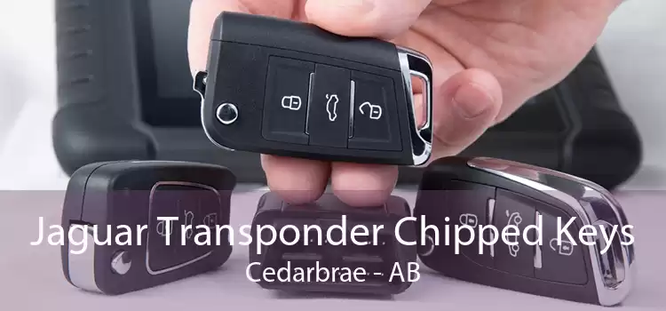 Jaguar Transponder Chipped Keys Cedarbrae - AB