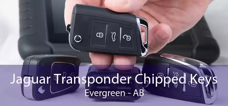 Jaguar Transponder Chipped Keys Evergreen - AB