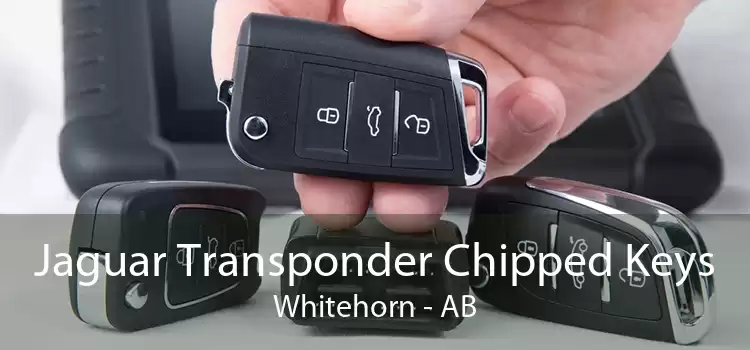 Jaguar Transponder Chipped Keys Whitehorn - AB