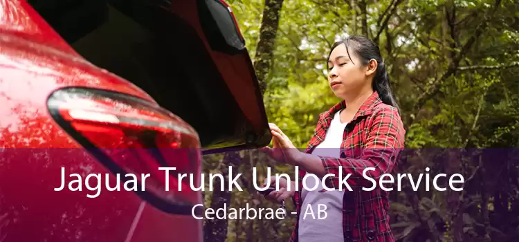 Jaguar Trunk Unlock Service Cedarbrae - AB