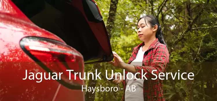 Jaguar Trunk Unlock Service Haysboro - AB